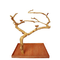 JAVA WOOD TREE