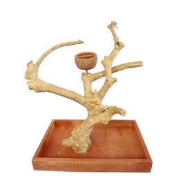 JAVA TABLE TOP PLAY STAND