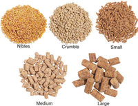 ROUDYBUSH DAILY MAINTENANCE MEDIUM BIRD FOOD