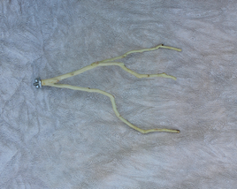 MANZANITA BRANCH PERCH SAND BLASTED