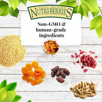 LAFEBER SUNNY ORCHARD NUTRI-BERRIES FOR COCKATIEL