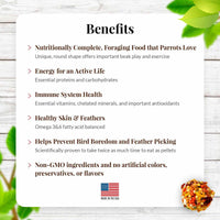 LAFEBER SUNNY ORCHARD NUTRI-BERRIES FOR PARROTS
