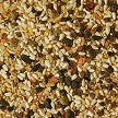 VOLKMAN SUPER PARROTLET SEED MIX